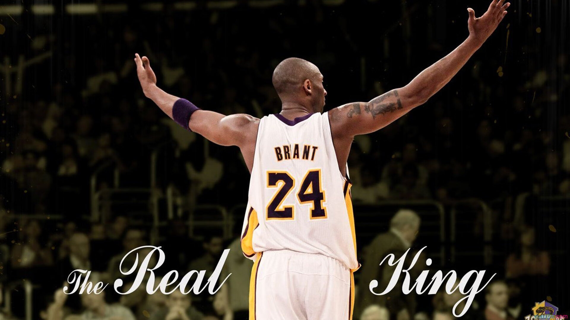 开云官网-社会责任:联盟明星的公益故事温暖全场,明星公益事件